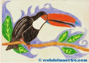 dibujo-tucan-de-un-alumno-5