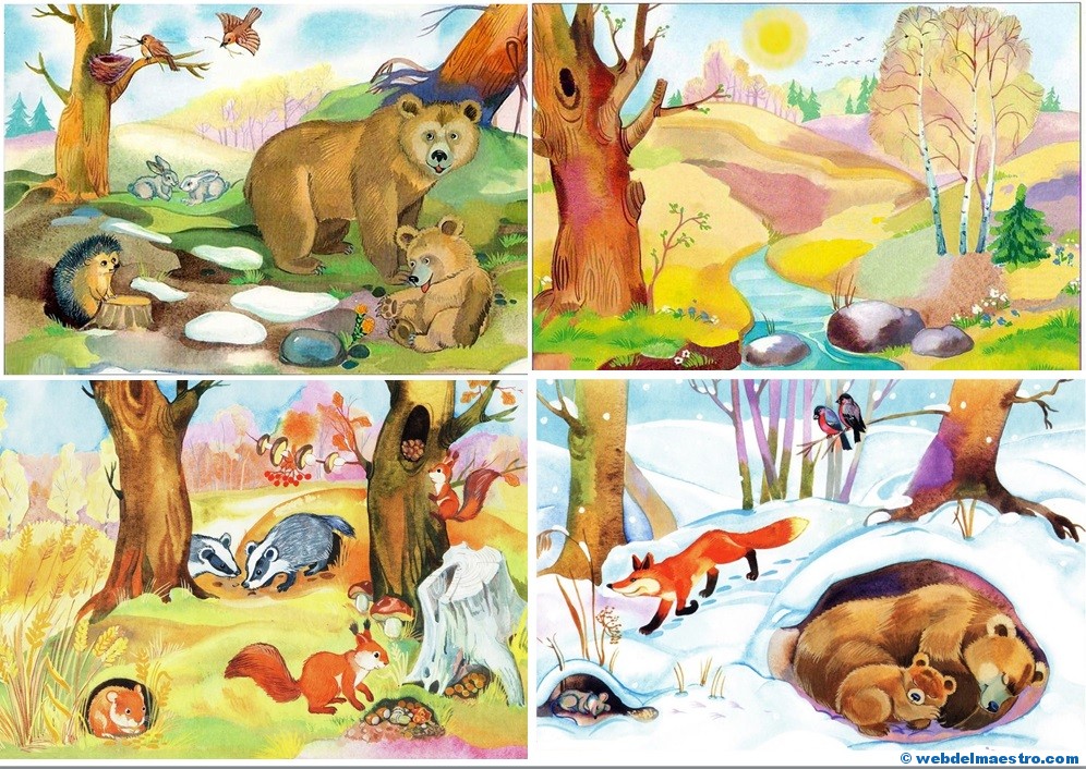 Imágenes educativas | El otoño – Las estaciones del año