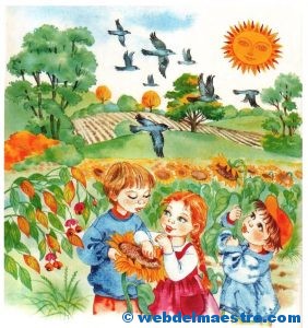 verano-otono-recoleccion-de-girasoles