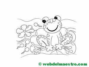 dibujar-paso-a-paso-rana-35