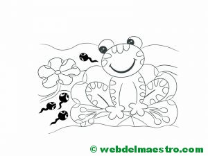 dibujar-paso-a-paso-rana-37