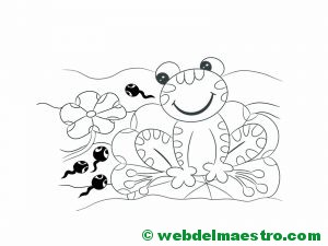 dibujar-paso-a-paso-rana-39