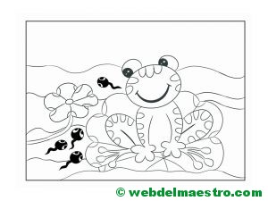 dibujar-paso-a-paso-rana-40