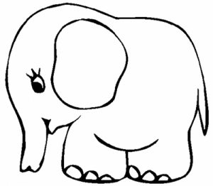 elefante