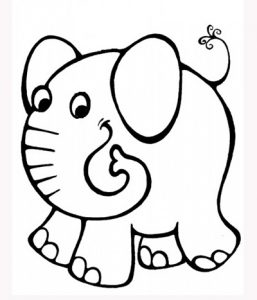 elefante