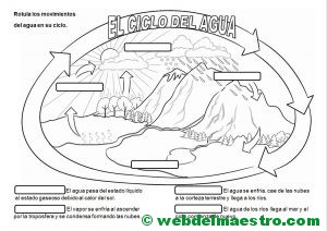el-ciclo-del-agua-actividades