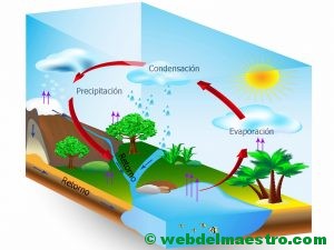 el-ciclo-del-agua-primaria-explicacion