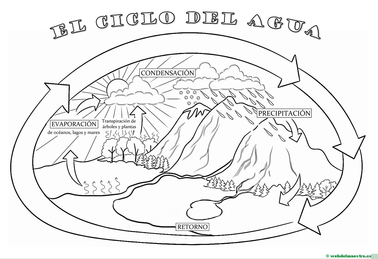 El ciclo del agua (Primaria)