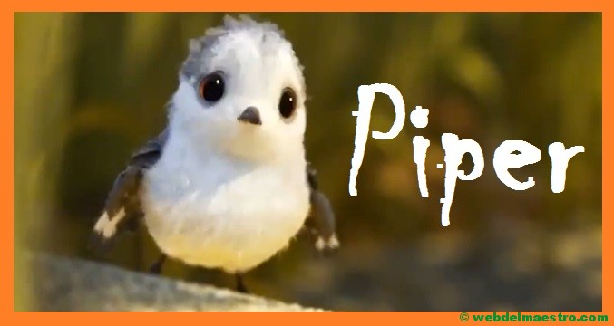 Cuentos infantiles cortos | Piper