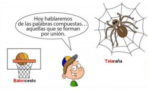 palabras compuestas
