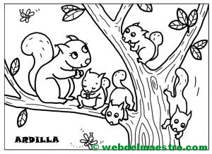 Ardilla y sus crías