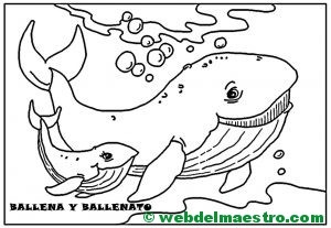 Ballena y ballenato