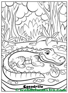 Cocodrilo