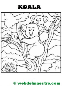 Koala con su cría-2