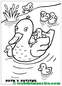 Pato y patitos