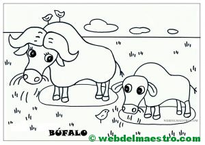 búfalo y cría