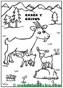 cabra y chivos