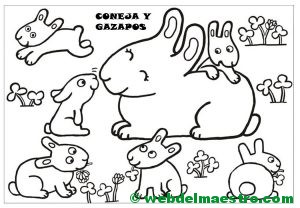 coneja y gazapos