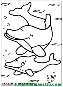 delfín y delfinato
