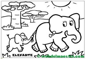 elefante