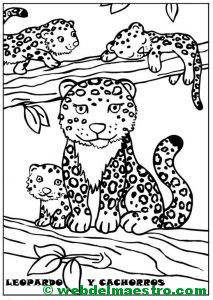 leopardo y cachorros