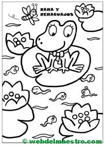 rana y renacuajos