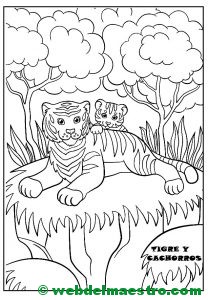 tigre y cachorros