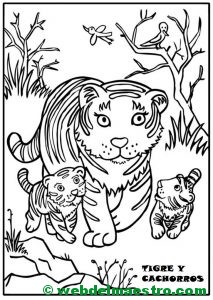 tigresa y cachorros