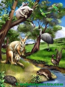 Animales de Oceanía