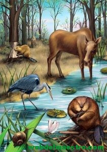 Animales de los ríos de América del Norte