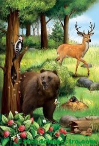 Animales del bosque-3