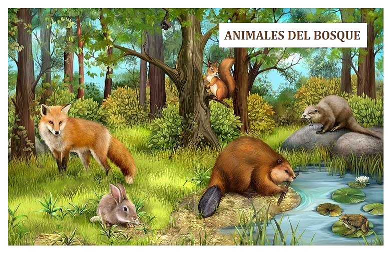 Animales del bosque