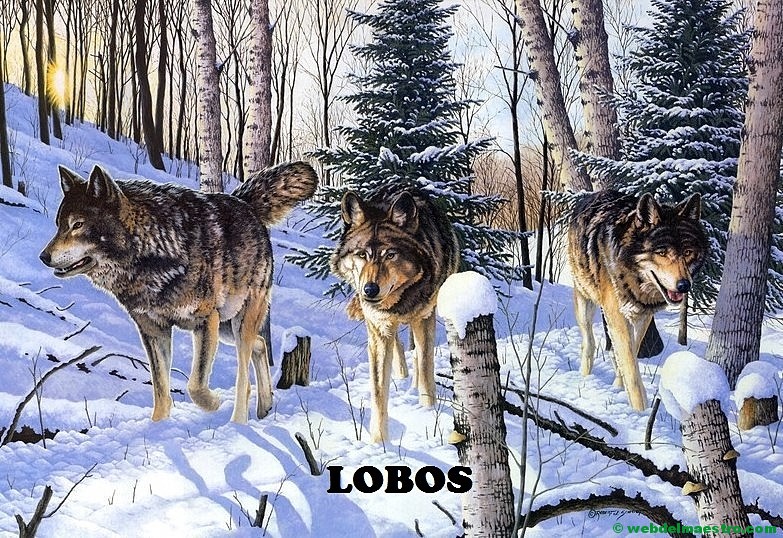 Lobos