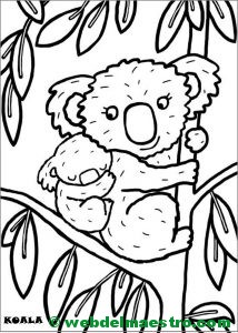 Paso 12 y terminación del dibujo