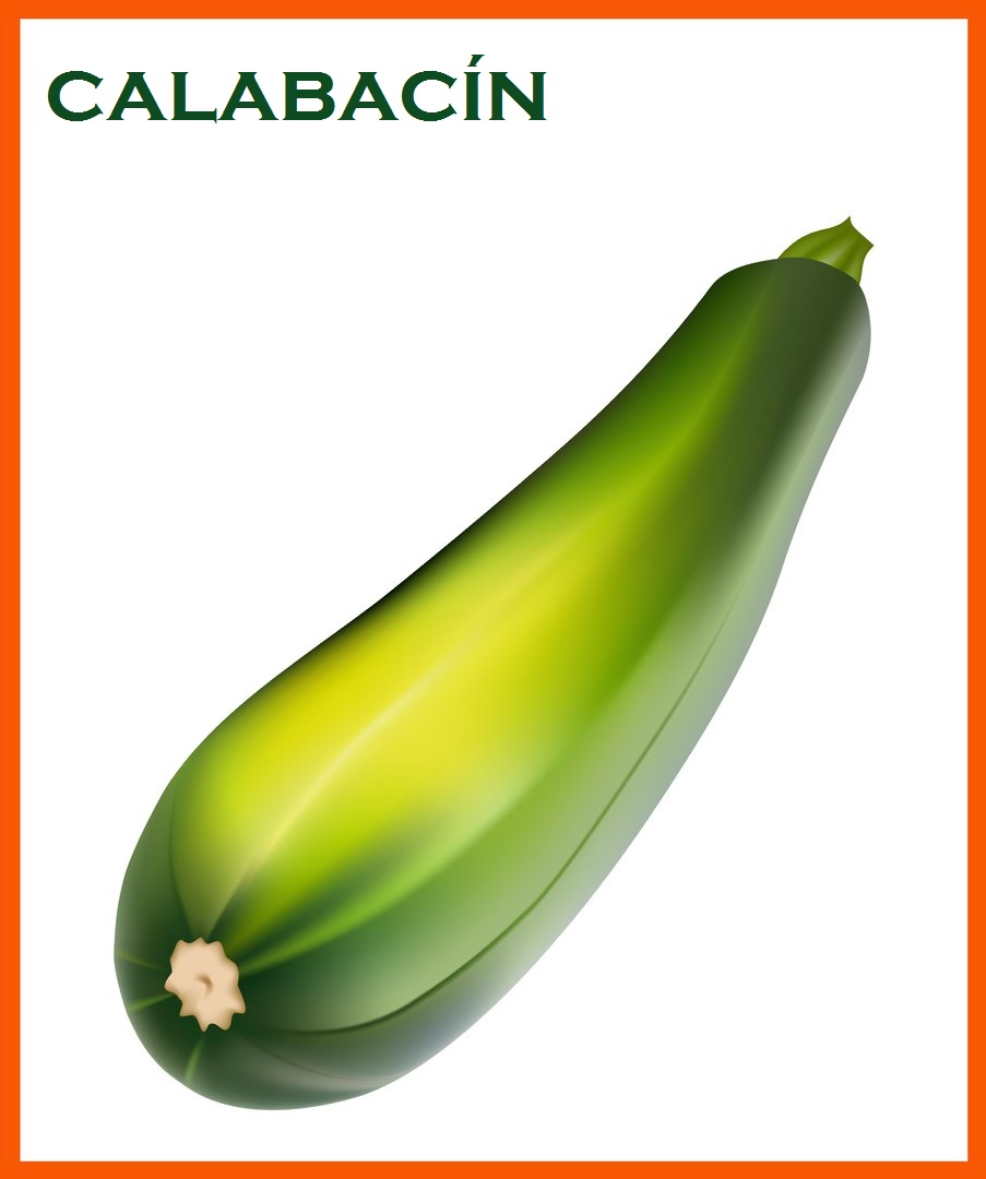 calabacín