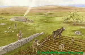 La agricultura-el arado