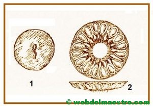 Utensilios de cobre de la Edad de los Metales