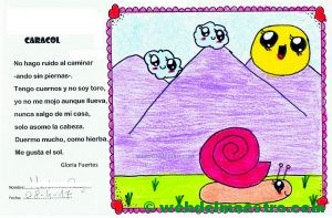 terminación de trabajos-caracol