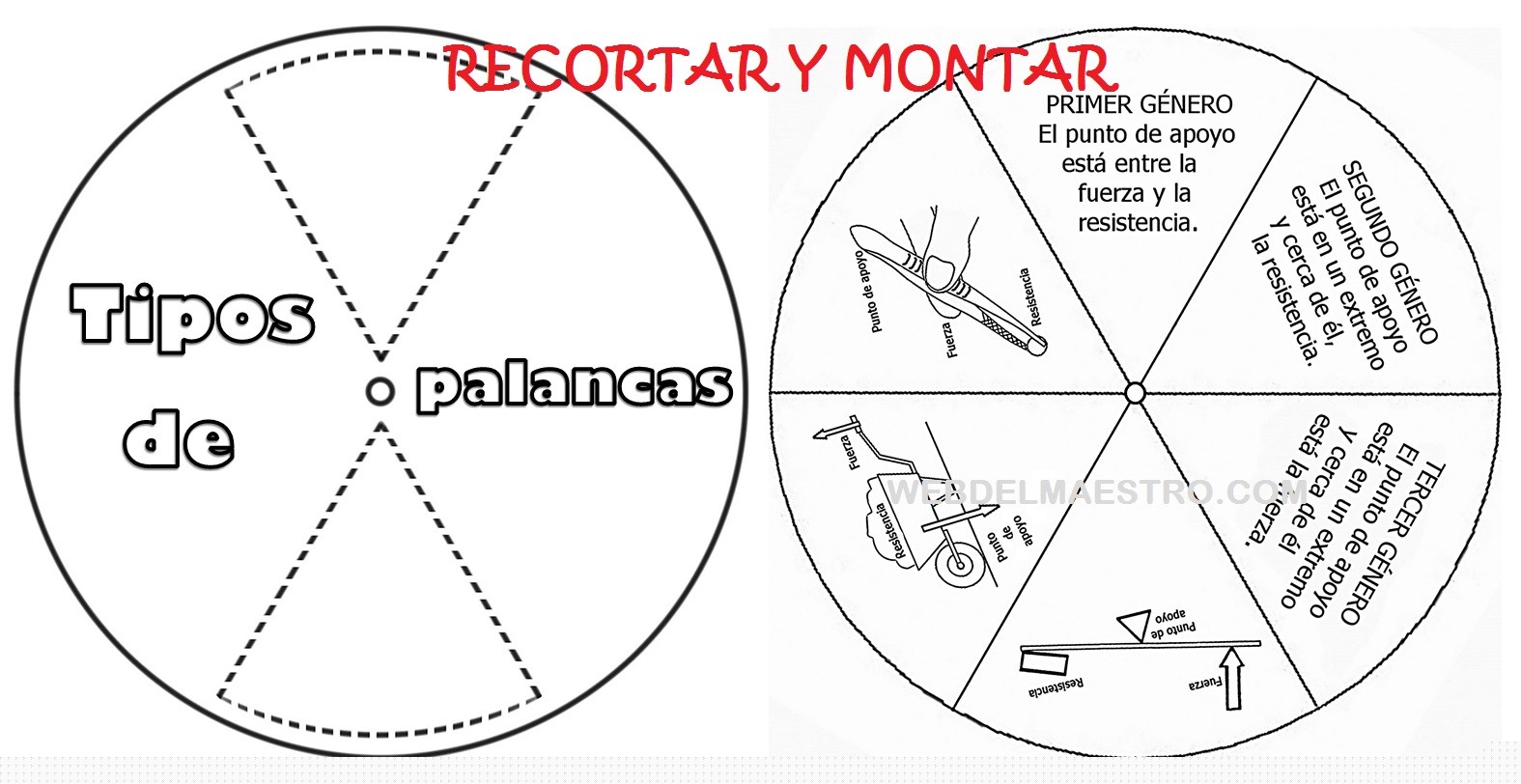Tipos de palancas – Información y actividades