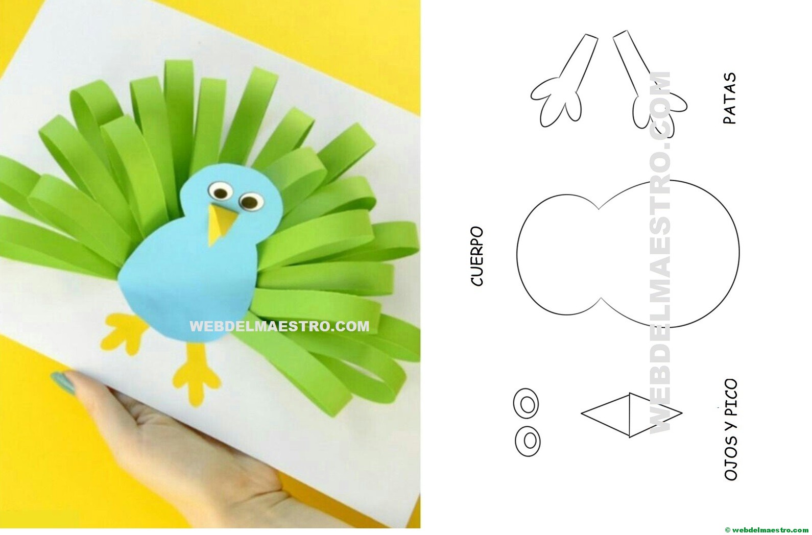 Manualidades infantiles: pavo real de papel