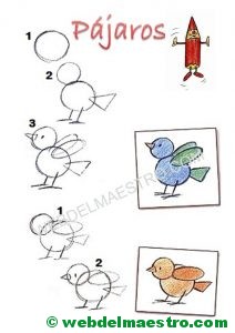 Cómo dibujar animales-pájaros