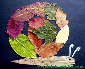 Caracol de hojas de otoño