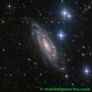 Estrellas y galaxia espiral en la constelación de Lepus