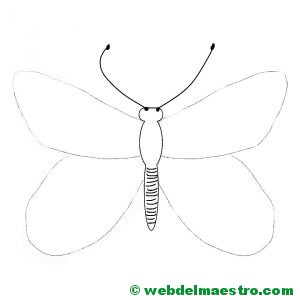 dibujo de mariposa