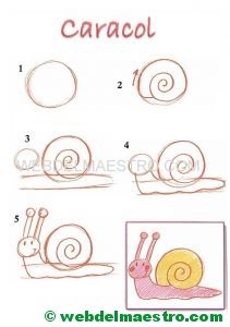 dibujos fáciles paso a paso-caracol