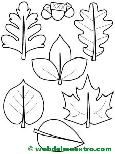 hojas de otoño y bellotas