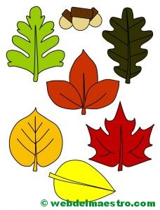 hojas de otoño y bellotas-color