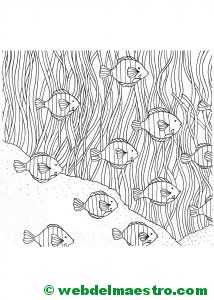 Dibujos antiestrés-Peces payaso