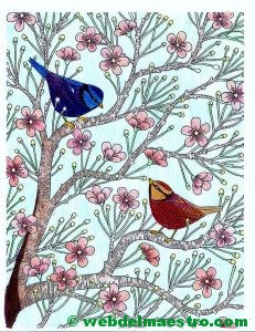 Pájaros-Terminación color