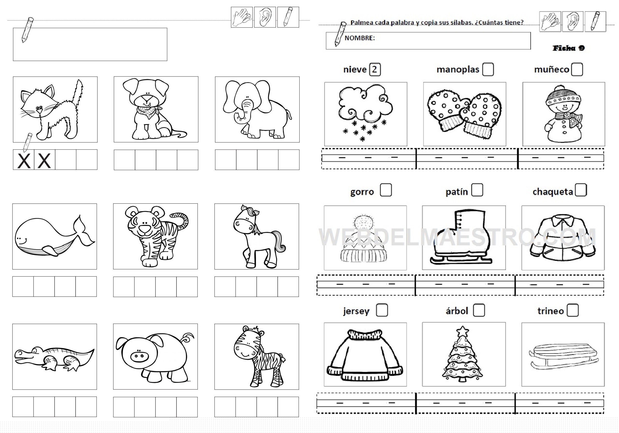Separar sílabas | Contar sílabas